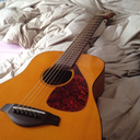 sharkpunchmusic avatar