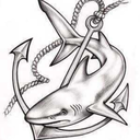 sharks-18-blog avatar