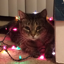 sharksandothernonsense avatar