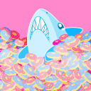 sharksndonuts avatar