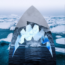 sharktic-waters avatar