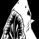 sharktoof avatar
