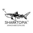 sharktopia avatar