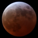 sharktopusnadozilla avatar