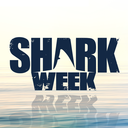 sharkweek avatar