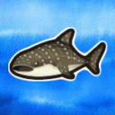 sharkwhale avatar