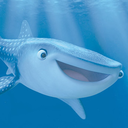 sharkymemes avatar