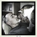 sharpandpointies avatar