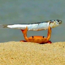 sharpie-pen101 avatar