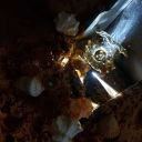 shartsworld-blog1 avatar