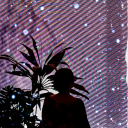 shas-posts avatar