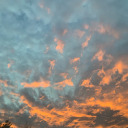 shattered--expectations avatar