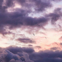 shattered-kneecaps avatar