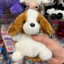 shattered-system avatar