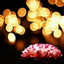 shatteringthenight-blog avatar