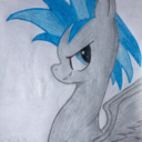 shavihaxan-blog avatar