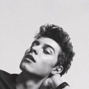 shawn-themendes avatar