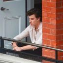 shawnsorangeglasses avatar