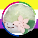 shaygummies avatar