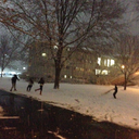 shayne-simplified avatar