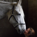 shaynizzle-blog-blog avatar