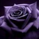 shcneeundrosen avatar