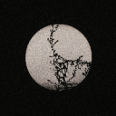 shcrdsofglcss avatar