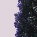 she-counted-every-star avatar