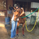 she-is-alone-again avatar