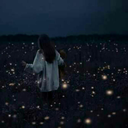 she-is-wildfire avatar