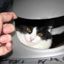 she-likes-pizz420 avatar