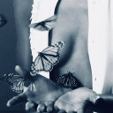 shealyncoleman avatar