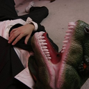 sheanineseven avatar