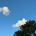 shecallsmemonet avatar