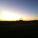 shecametostay avatar