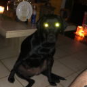 shedding-this-skin avatar