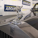 sheddingpetals avatar