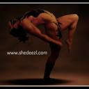 shedeezl avatar