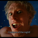 shedoesntliketheview avatar