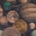 shedoessoshedoes avatar