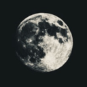 shedreamsofwolves avatar