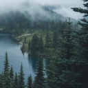 shedsomelightonme avatar