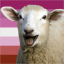 sheepsbian avatar