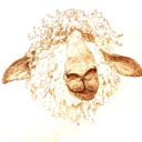 sheepshopcambridge avatar