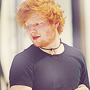 sheerio-ed-blog avatar