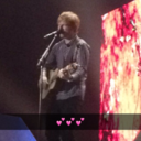 sheerio-lover avatar