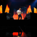 sheeriosandsoymilk avatar