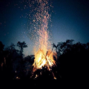 sheerkindgoodness avatar