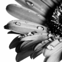 shefoundbliss avatar