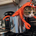 shegotstosayit avatar